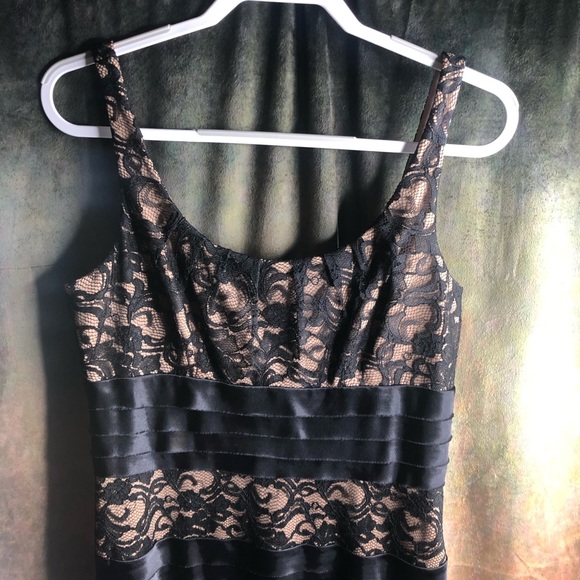 Collection Dress Barn Black and Tan Lace Dress - Picture 6 of 7